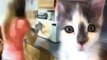 Mean Girls Microwave Cat, Get Charged With Animal Cruelty