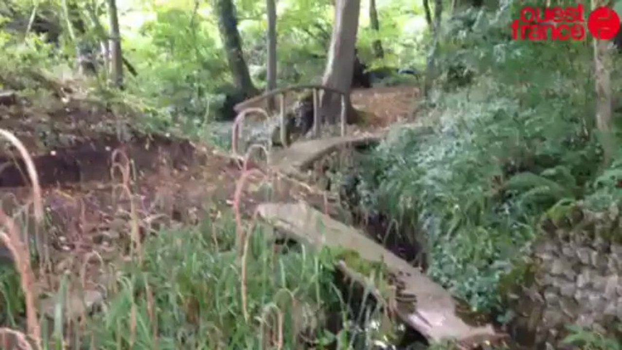 Les Trois étangs s'ouvrent aux visiteurs - Les...