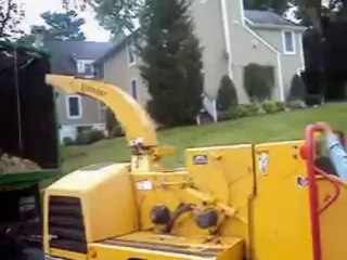 Tree Experts Work-AAA Tree Services Ny
