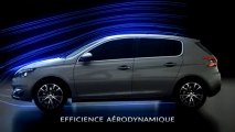 Efficience - Peugeot 308 II ( www.feline.cc )