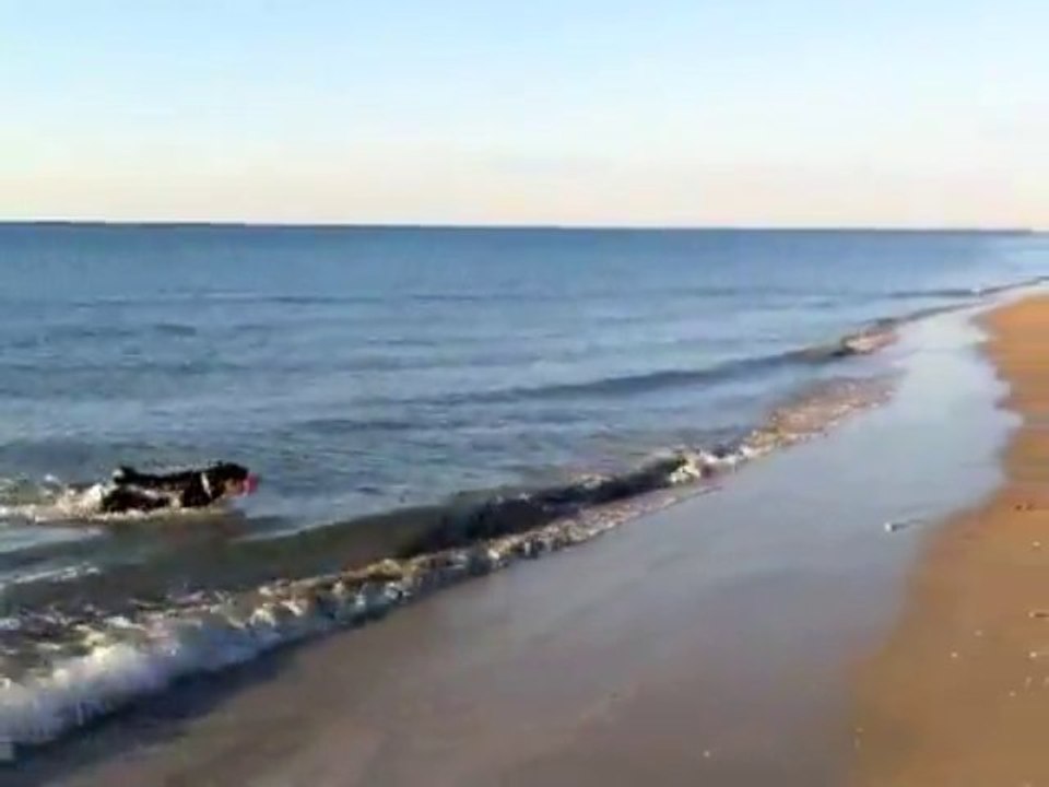 1er vrai bain de mer