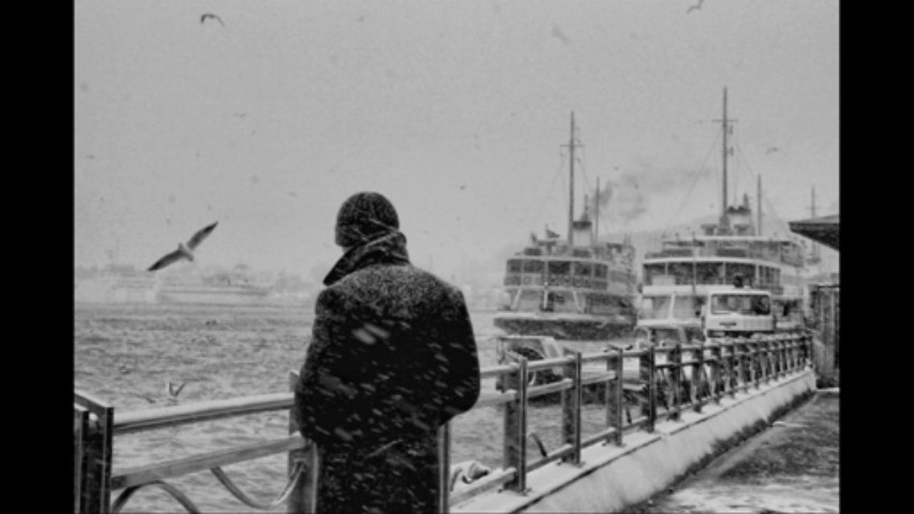 Sus (TarıkDURSUN) 2013