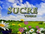 SUCRE VISIBLE AGOSTO 14 DE 2013