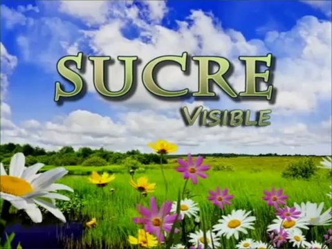 SUCRE VISIBLE AGOSTO 14 DE 2013