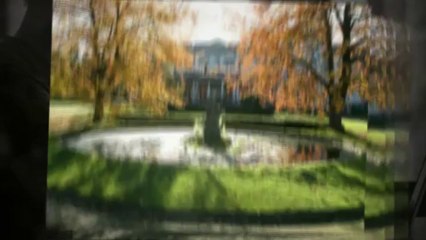 Consider MBA Online Programs