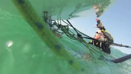 Spirou Sailng the waves 2013 -  720p