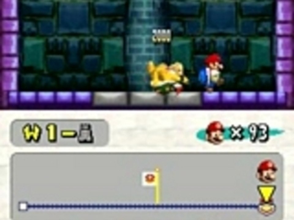 NEW SUPER MARIO BROSS
