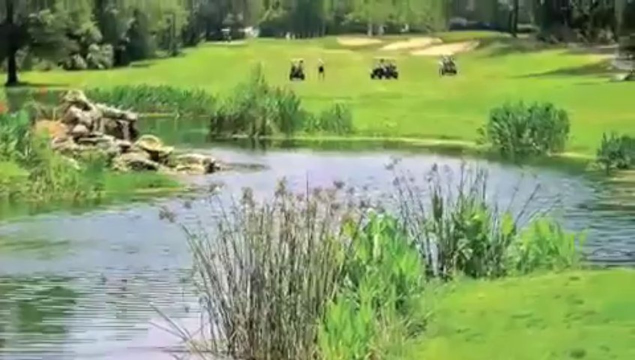 New Vista Properties -Mobile North Port- New Vista Properties