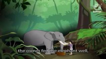 Jataka Tales - Elephant Stories - The Winner Jumbo
