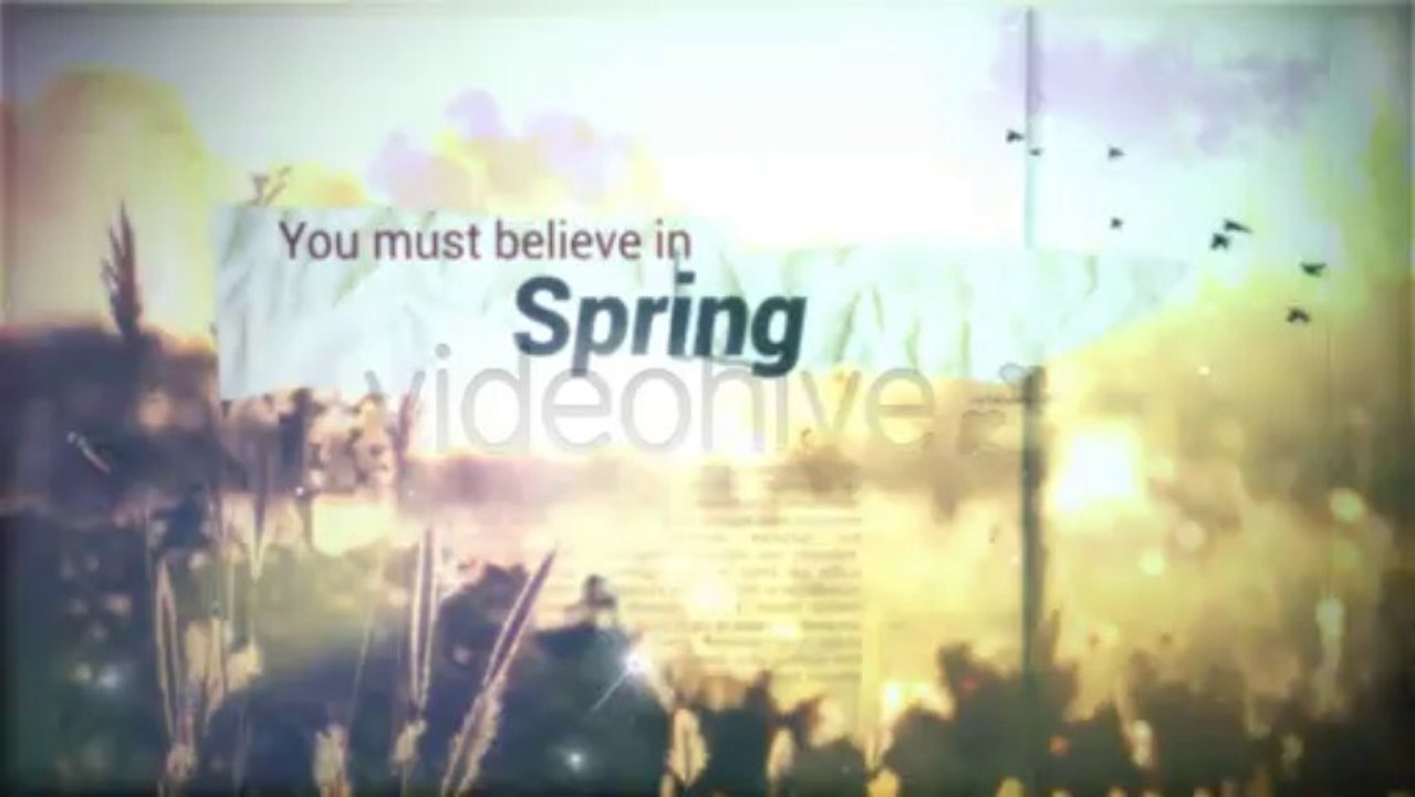 Believe in Spring - After Effects Template