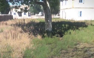 Arma 3 Crack, Keygen, Serial Number