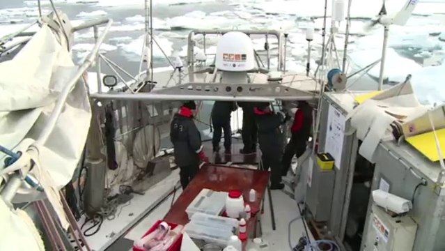 Deuxième station glace depuis le début de l'expédition Tara Oceans Polar Circle © V.Hilaire/francetv nouvelles écritures/Thalassa/Tara Expéditions