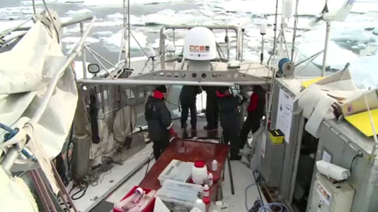 Deuxième station glace depuis le début de l'expédition Tara Oceans Polar Circle © V.Hilaire/francetv nouvelles écritures/Thalassa/Tara Expéditions