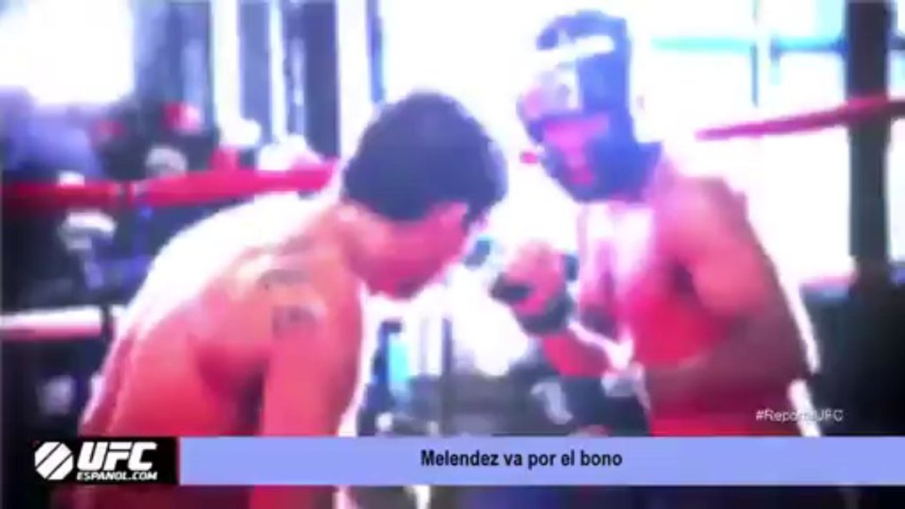 Reporte UFC