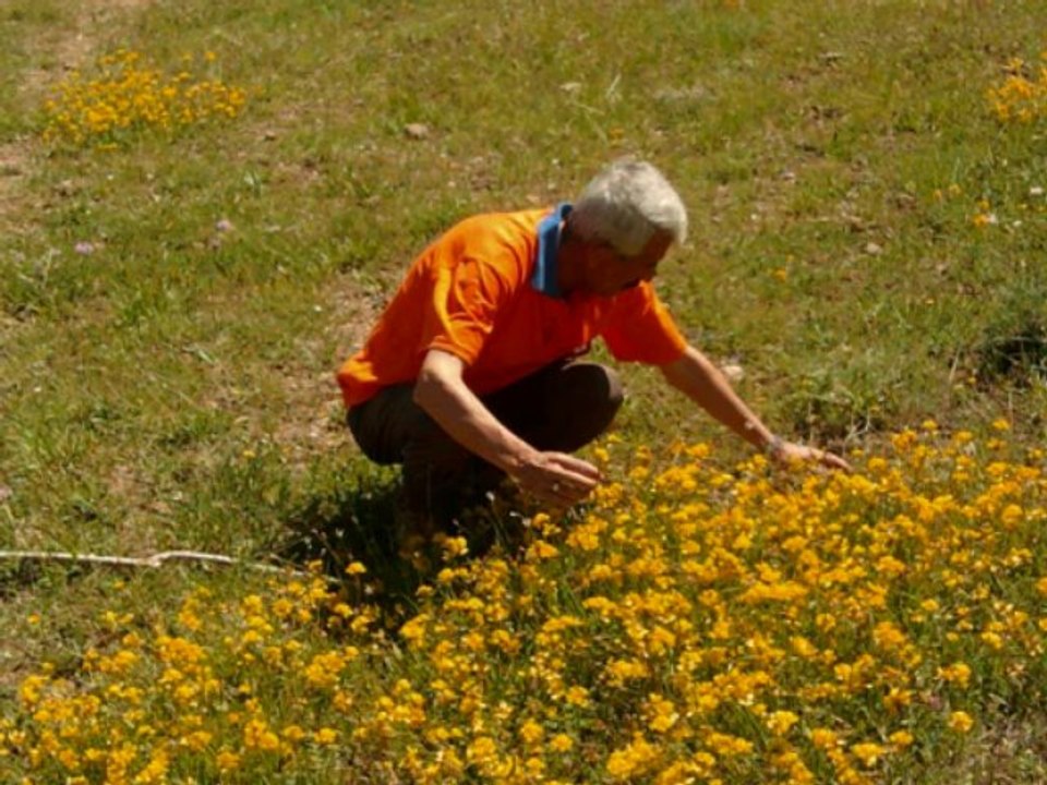 SİVAS İMRANLI YONCABAYIRI KÖYÜ