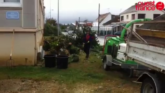 Abattage - Les arbres de la rue Cerisé