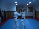 Krav maga Rollin Philippe