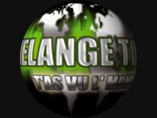 Melange Toxik   ( On côtoie  tous peine et tristesse  )