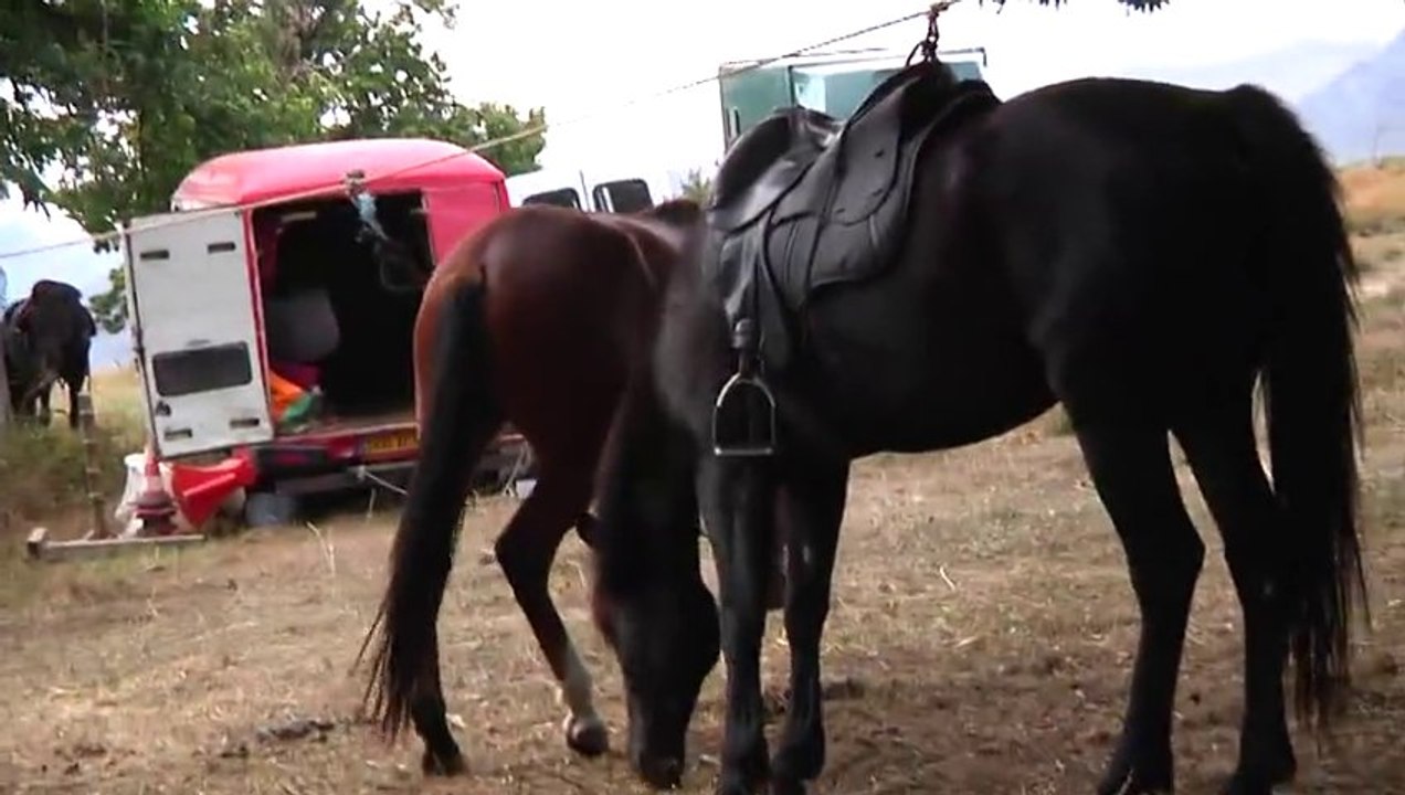 maitrse du cheval