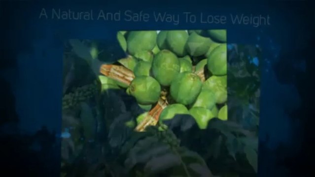 Green Coffee Bean Extract Aids Safe And Effective Weight Loss