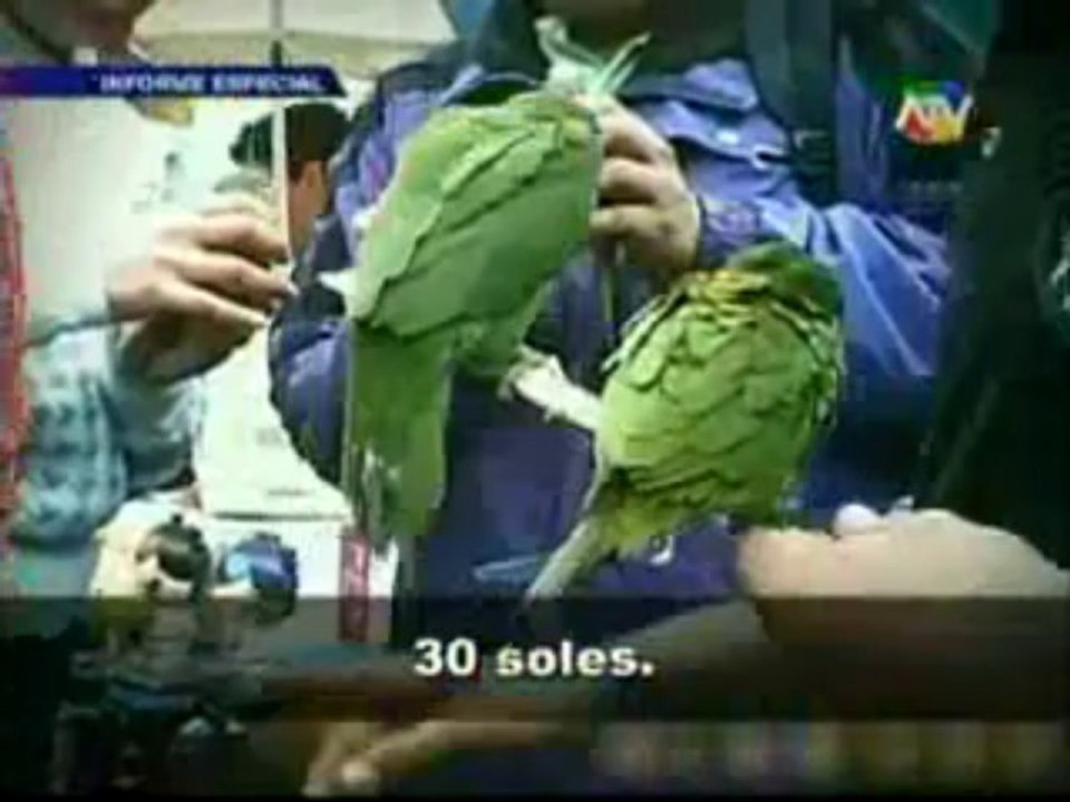 ATV-NOTICIAS 0912