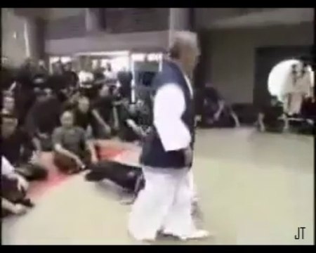 Hatsumi Bujinkan Ninjutsu Taijutsu