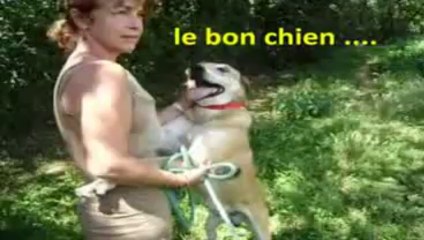 TWIST au Refuge de Figeac (Lot)