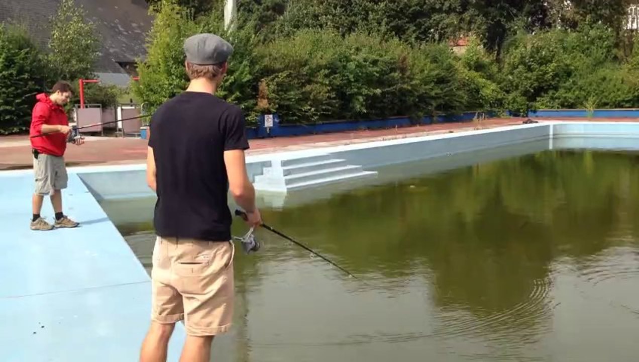 Des poissons dans la piscine des Prés de Tilff