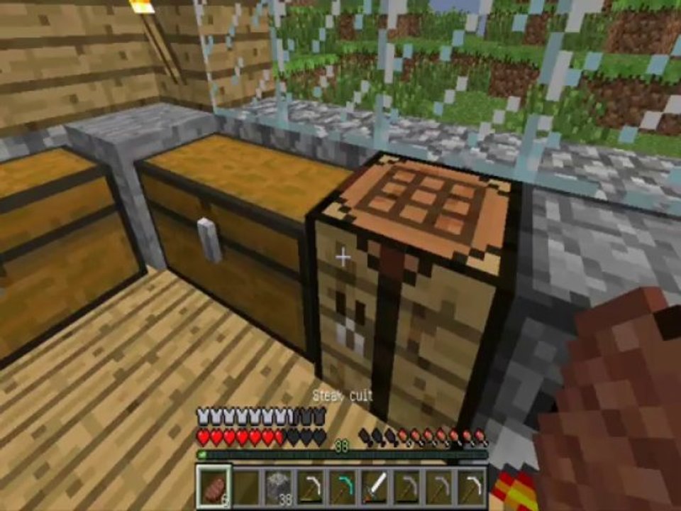 Saison : Survie en Normal Episode 5