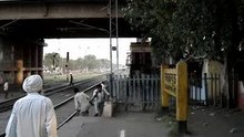 Real life stunt by a gal
