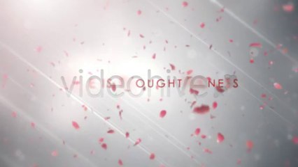 Love Quotes Valentine Project - After Effects Template