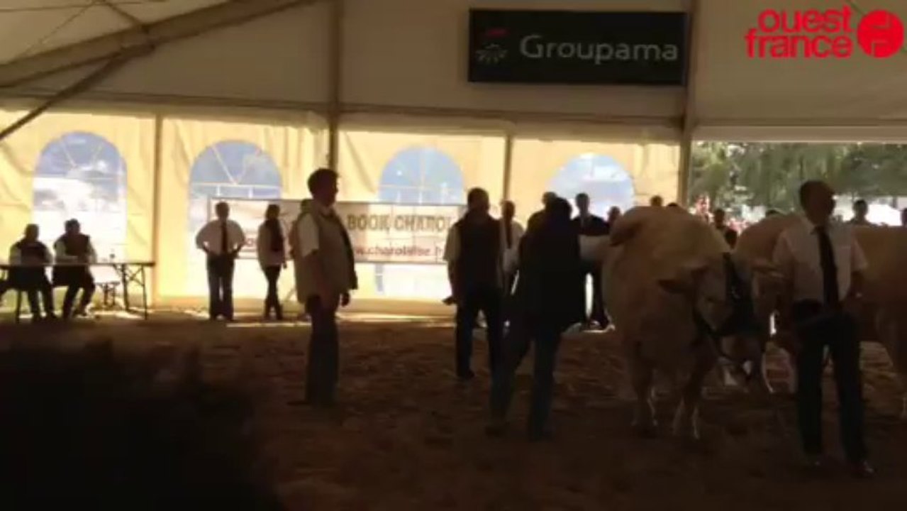 Darroussin en éleveur charolais - Tournage à la...