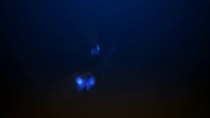 Blue Plasma Logo Stinger - After Effects Template