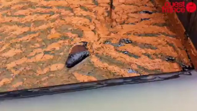 Guelt innove - Traitement eaux usées