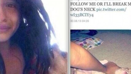 One Direction Fan Allegedly Kills Chihuahua Over Twitter