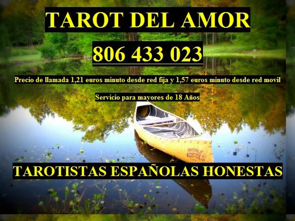 Amor