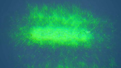 Logo explosion - After Effects Template