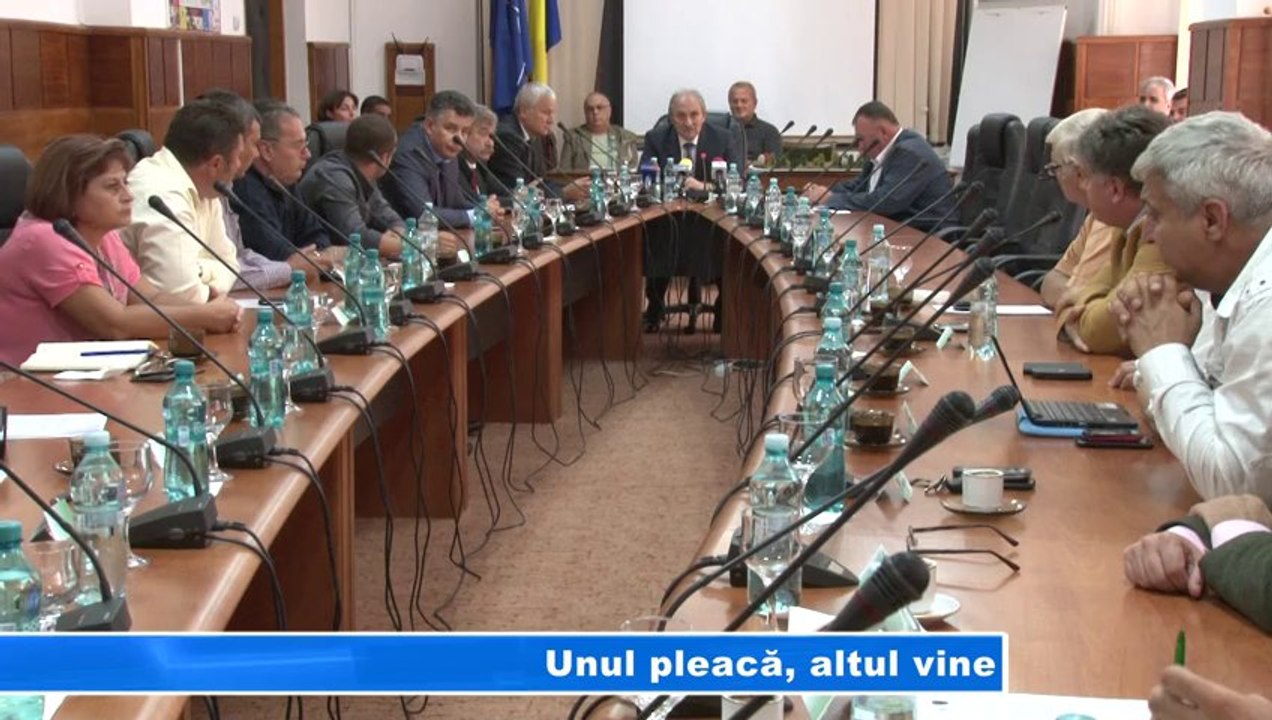 UNUL PLEACA ALTUL VINE