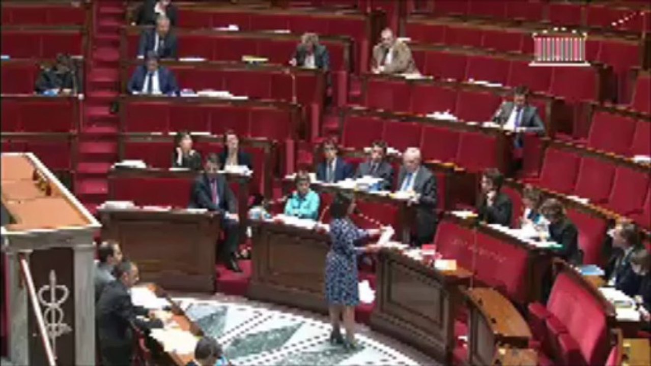 Quand NKM fait campagne à l'Assemblée, Cécile Duflot se fâche