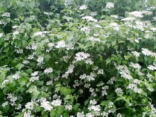 Одиночество