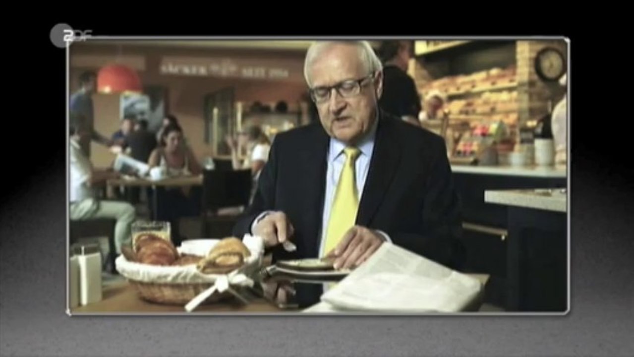 Wischmeyer's logbuch der bekloppten und bescheuerten zur bundestagswahl 2013