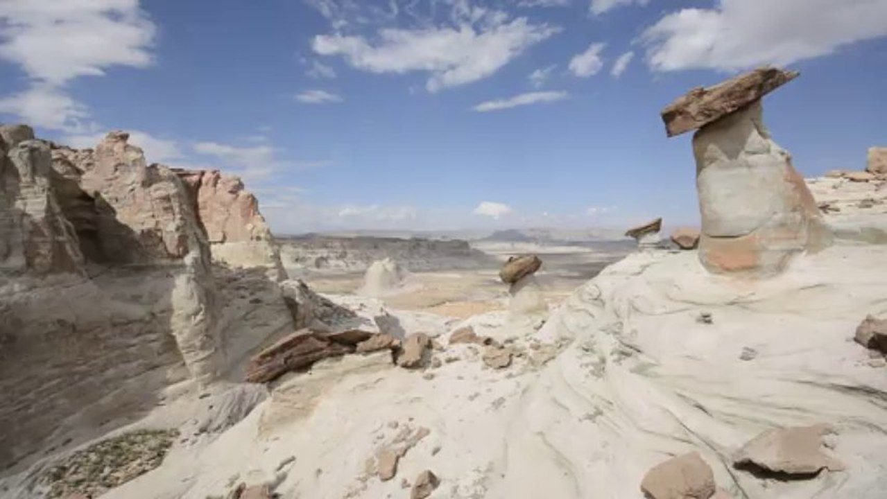 Stud Horse Point
