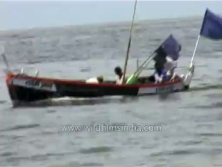 DVD 254 maharashtra mumbai 2