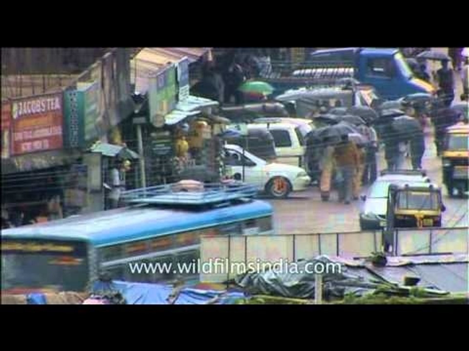 Walking in the rain - Munnar