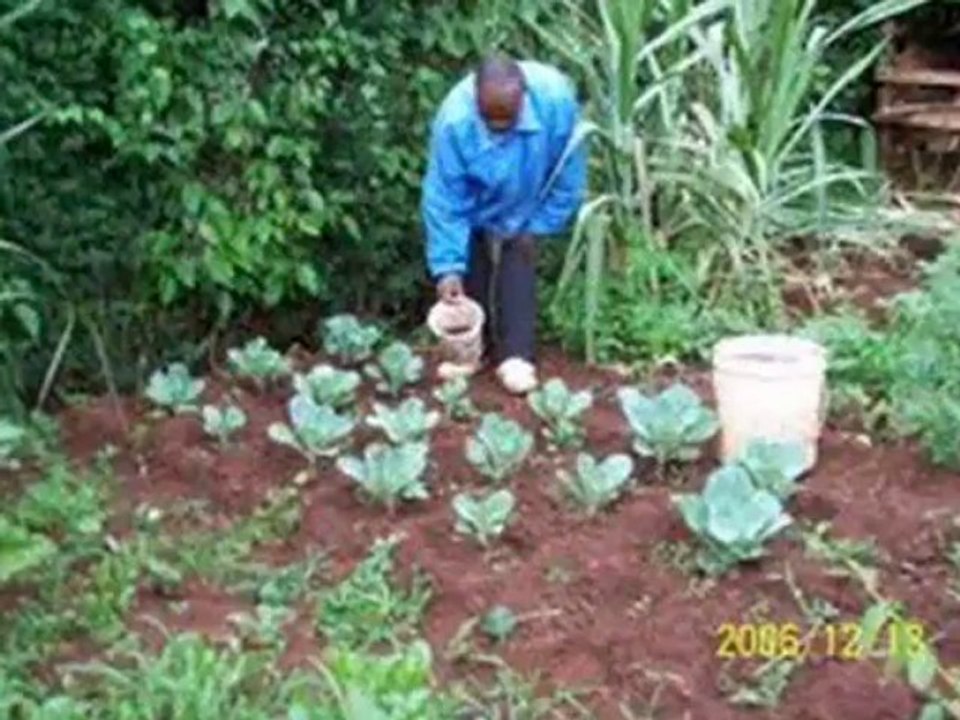 liquid fertiliser australia