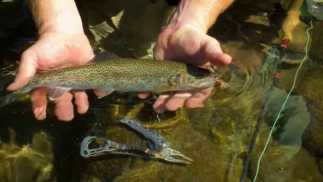 Flyfishing NF Skokomish in Olympic National Park September 2013