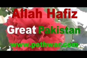 Punjgran near Dhoke Major Rawat