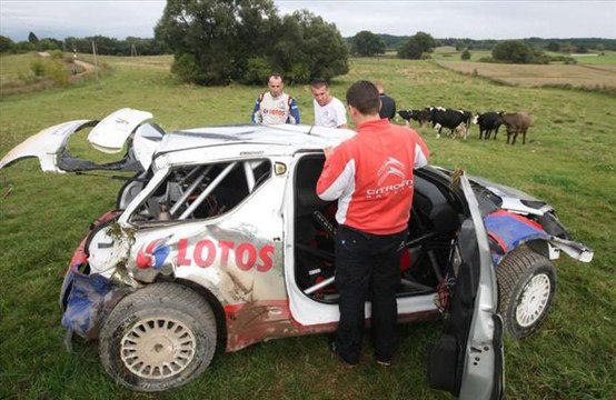 Crash de Roberta Kubicy dans un champs de vaches