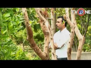 na mehrum EP# 13 SEG 03