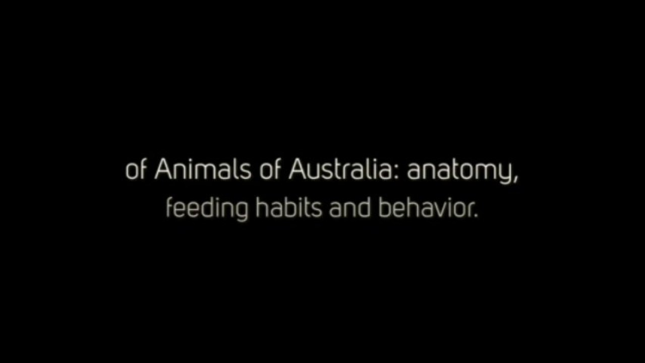 Animals of Australia - For Kids - Amazing Animal Books for Young Readers
